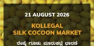 Kollegal Silk Cocoon Market – 21 August 2026 Kollegal Silk Cocoon Market Rates – 21 August 2026