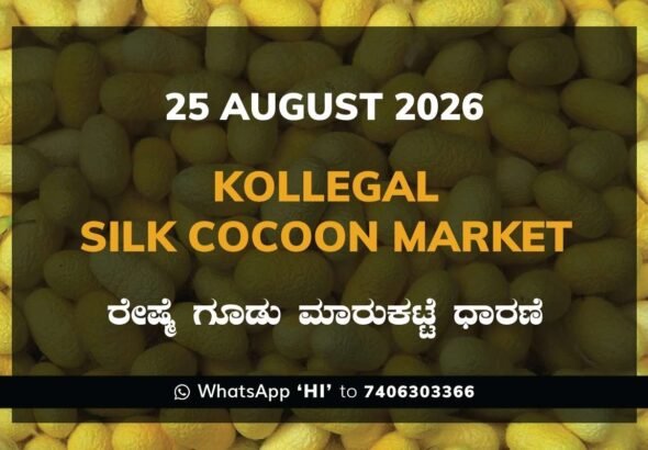 Kollegal Silk Cocoon Market Rates – 25 August 2026
