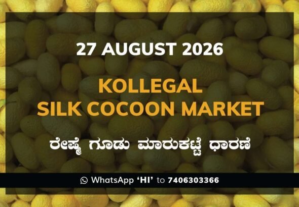 Kollegal Silk Cocoon Market Rates – 27 August 2026