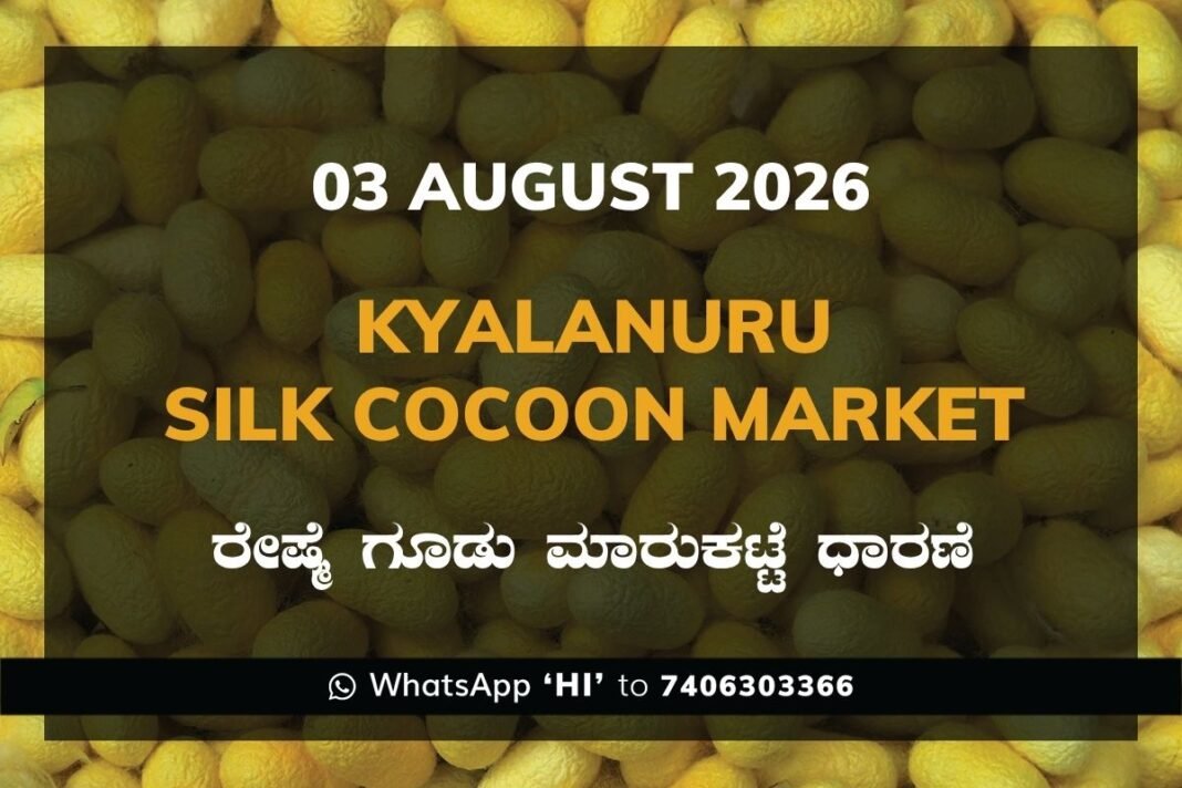 Kyalanuru Silk Cocoon Market Rates – 03 August 2026