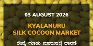 Kyalanuru Silk Cocoon Market – 03 August 2026 Kyalanuru Silk Cocoon Market Rates – 03 August 2026