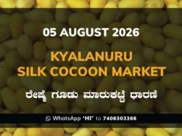 Kyalanuru Silk Cocoon Market Rates – 05 August 2026