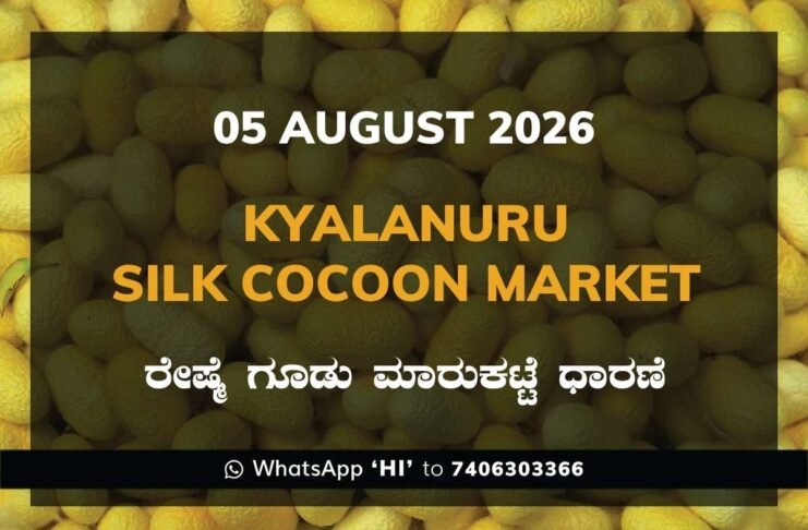 Kyalanuru Silk Cocoon Market Rates – 05 August 2026