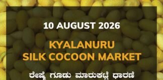 Kyalanuru Silk Cocoon Market – 10 August 2026 Kyalanuru Silk Cocoon Market Rates – 10 August 2026