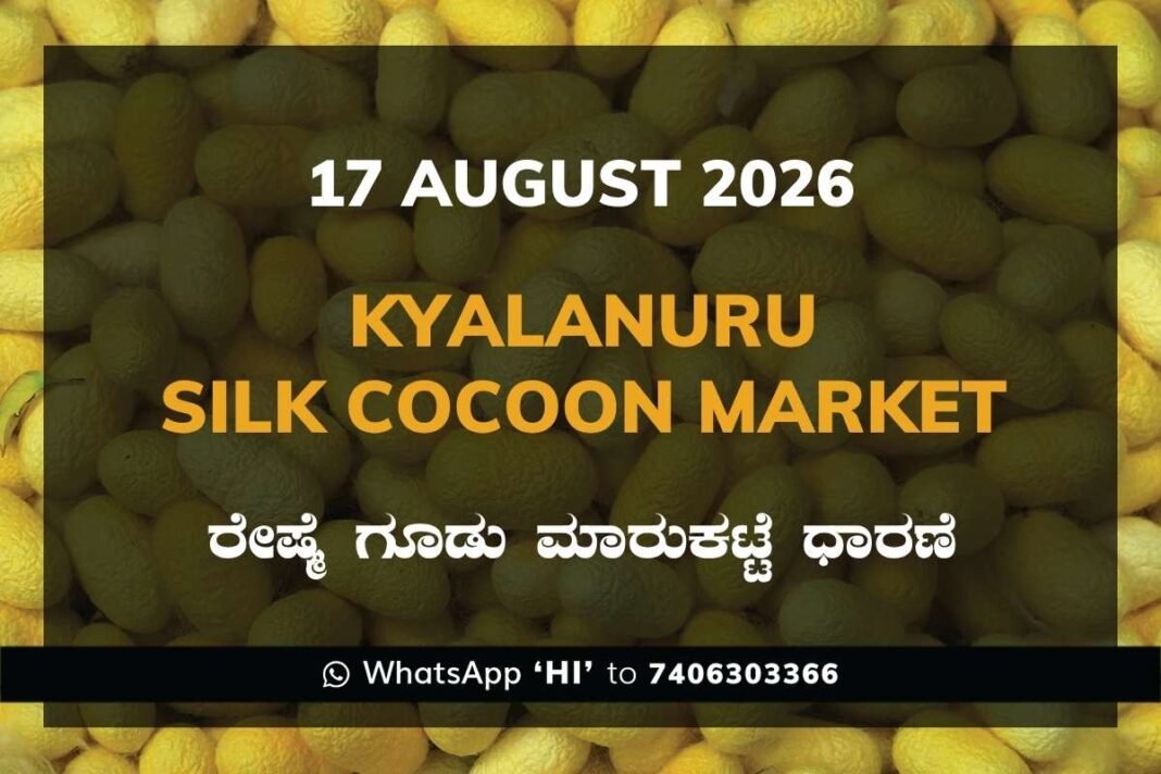 Kyalanuru Silk Cocoon Market Rates – 17 August 2026