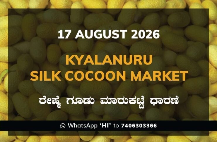 Kyalanuru Silk Cocoon Market Rates – 17 August 2026