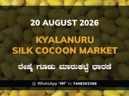 Kyalanuru Silk Cocoon Market Rates – 20 August 2026