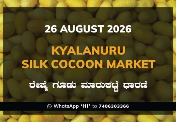 Kyalanuru Silk Cocoon Market Rates – 26 August 2026