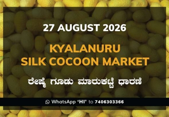Kyalanuru Silk Cocoon Market Rates – 27 August 2026