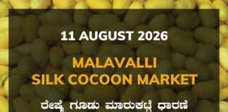 Malavalli Silk Cocoon Market – 11 August 2026 Malavalli Silk Cocoon Market Rates – 11 August 2026