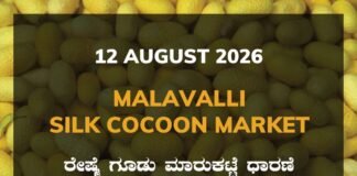 Malavalli Silk Cocoon Market – 12 August 2026 Malavalli Silk Cocoon Market Rates – 12 August 2026