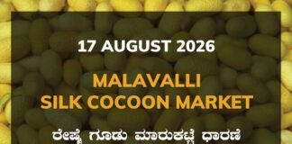 Malavalli Silk Cocoon Market – 17 August 2026 Malavalli Silk Cocoon Market Rates – 17 August 2026