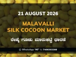 Malavalli Silk Cocoon Market – 21 August 2026 Malavalli Silk Cocoon Market Rates – 21 August 2026