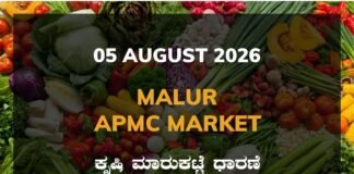Malur APMC Agriculture Market: 05 August 2026 Malur APMC Market Rates - 05 August 2026