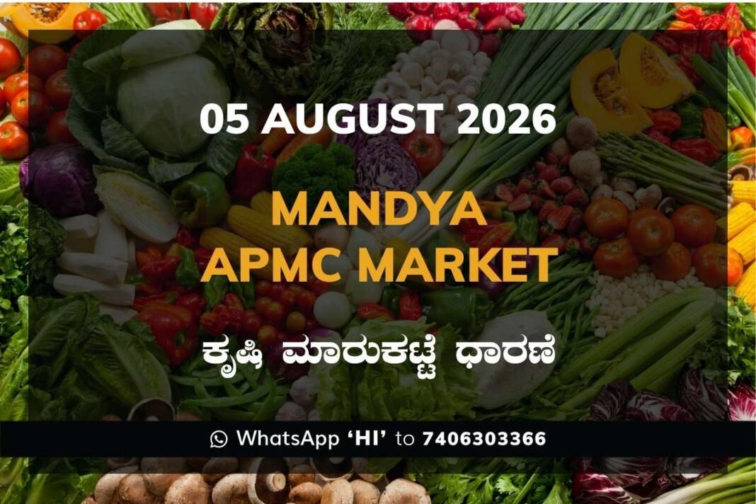 Mandya APMC Market Rates - 05 August 2026