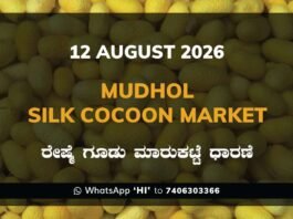 Mudhol Silk Cocoon Market Rates – 12 August 2026