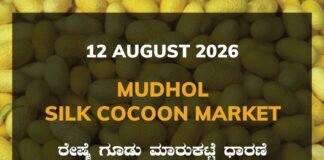 Mudhol Silk Cocoon Market – 12 August 2026 Mudhol Silk Cocoon Market Rates – 12 August 2026