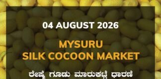 Mysuru Silk Cocoon Market – 04 August 2026 Mysuru Silk Cocoon Market Rates – 04 August 2026
