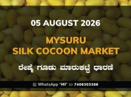 Mysuru Silk Cocoon Market – 05 August 2026 Mysuru Silk Cocoon Market Rates – 05 August 2026