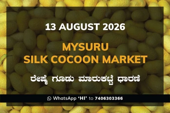 Mysuru Silk Cocoon Market Rates – 13 August 2026