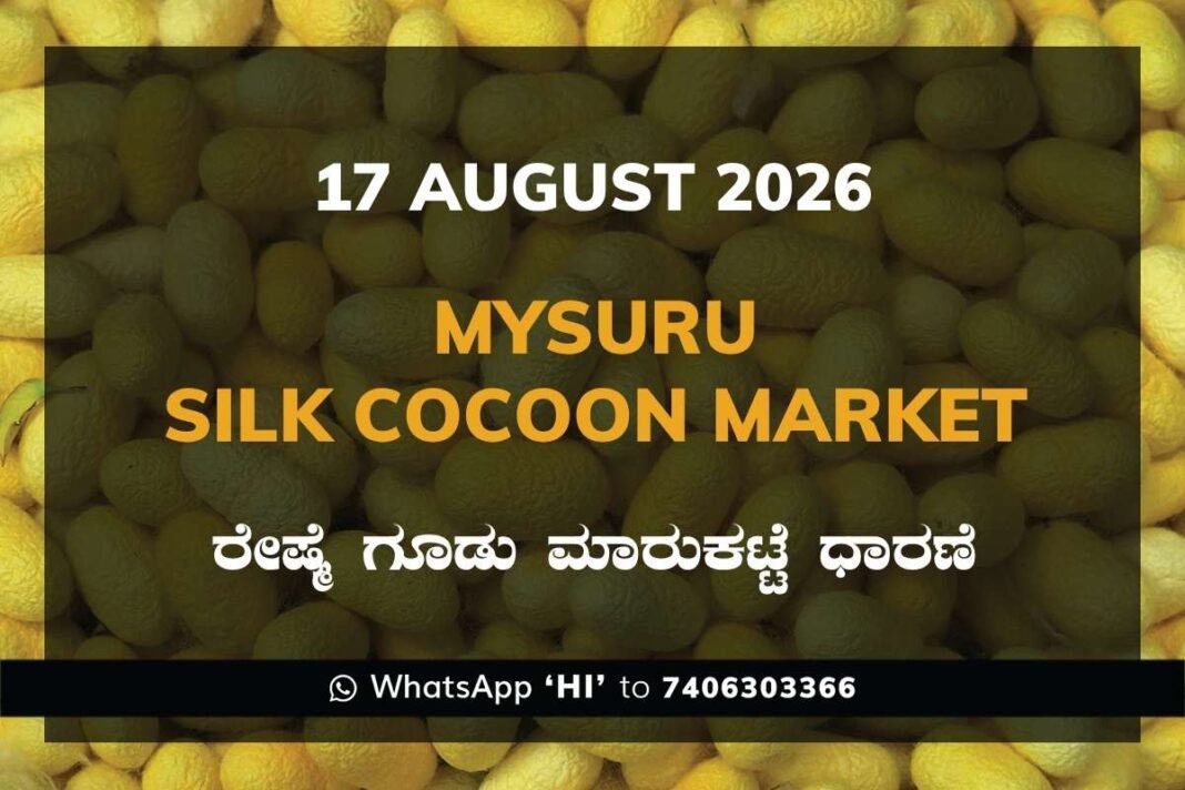 Mysuru Silk Cocoon Market Rates – 17 August 2026