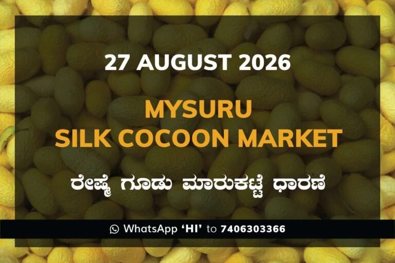 Mysuru Silk Cocoon Market Rates – 27 August 2026