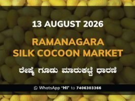 Ramanagara Silk Cocoon Market – 13 August 2026 Ramanagara Silk Cocoon Market Rates – 13 August 2026