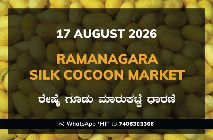 Ramanagara Silk Cocoon Market Rates – 17 August 2026