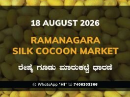 Ramanagara Silk Cocoon Market – 18 August 2026 Ramanagara Silk Cocoon Market Rates – 18 August 2026