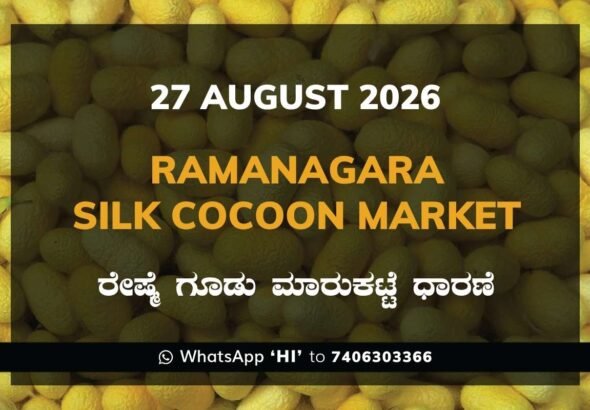 Ramanagara Silk Cocoon Market Rates – 27 August 2026