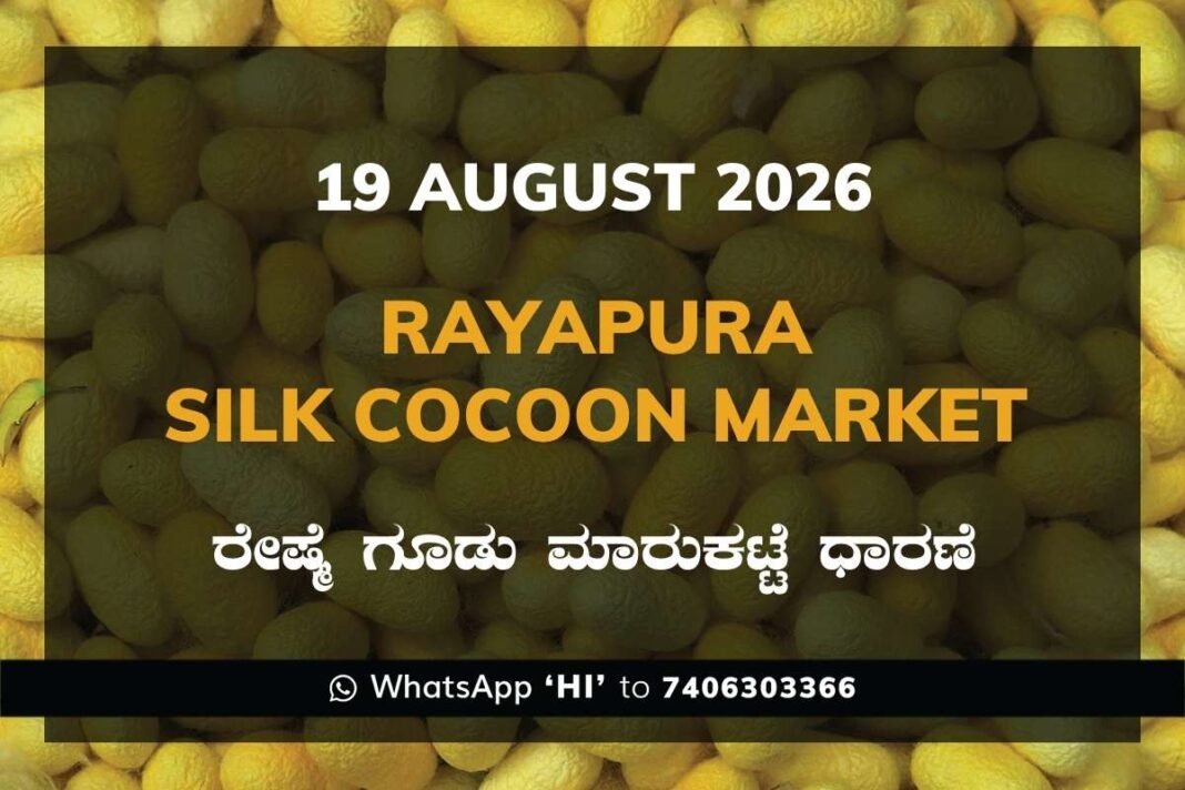Rayapura Silk Cocoon Market Rates – 19 August 2026
