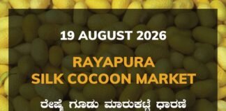 Rayapura Silk Cocoon Market – 19 August 2026 Rayapura Silk Cocoon Market Rates – 19 August 2026