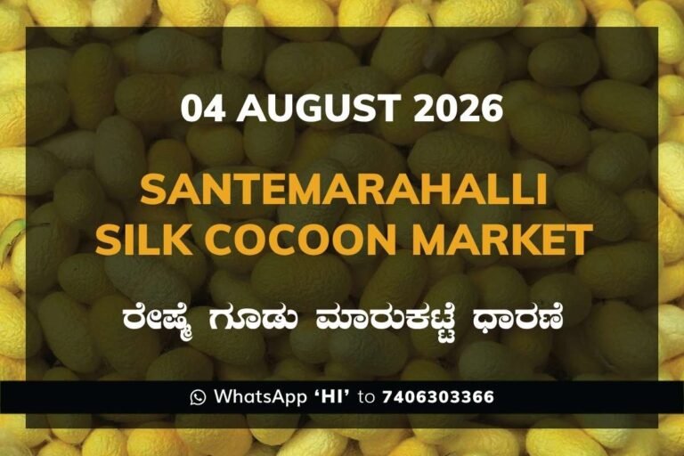 Santemarahalli Silk Cocoon Market Rates – 04 August 2026