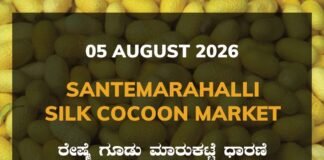 Santemarahalli Silk Cocoon Market – 05 August 2026 Santemarahalli Silk Cocoon Market Rates – 05 August 2026