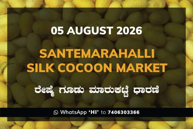 Santemarahalli Silk Cocoon Market Rates – 05 August 2026