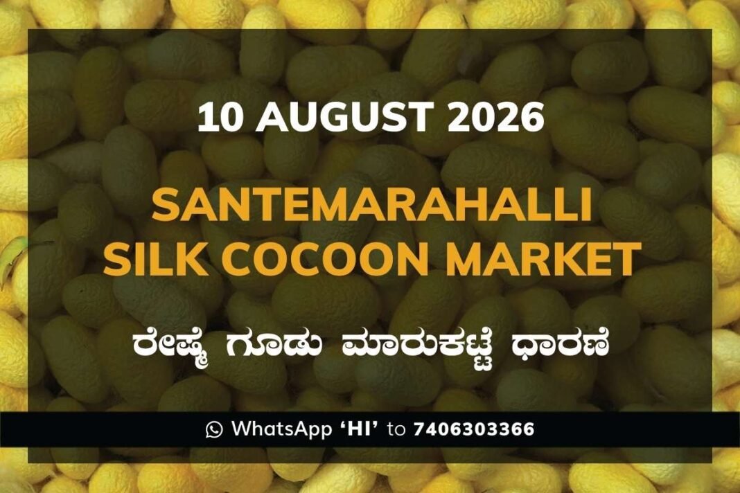 Santemarahalli Silk Cocoon Market Rates – 10 August 2026