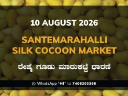 Santemarahalli Silk Cocoon Market Rates – 10 August 2026