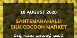 Santemarahalli Silk Cocoon Market – 10 August 2026 Santemarahalli Silk Cocoon Market Rates – 10 August 2026