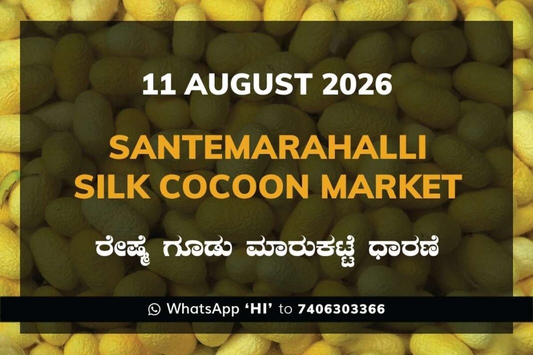 Santemarahalli Silk Cocoon Market Rates – 11 August 2026