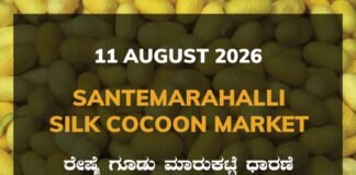 Santemarahalli Silk Cocoon Market – 11 August 2026 Santemarahalli Silk Cocoon Market Rates – 11 August 2026