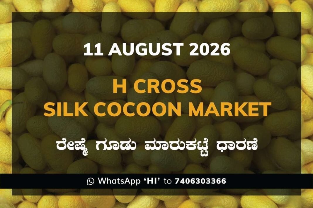 Shirahatti Silk Cocoon Market Rates – 11 August 2026