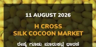 Shirahatti Silk Cocoon Market – 11 August 2026 Shirahatti Silk Cocoon Market Rates – 11 August 2026