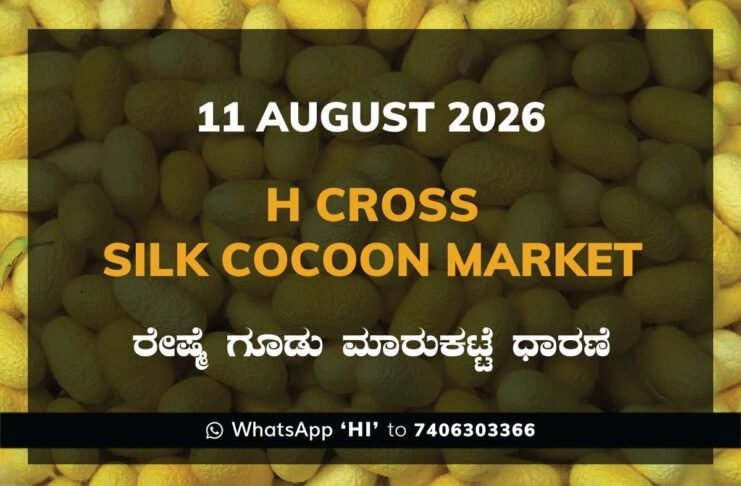 Shirahatti Silk Cocoon Market Rates – 11 August 2026