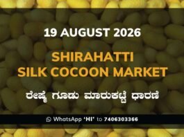 Shirahatti Silk Cocoon Market Rates – 19 August 2026