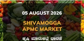 Shivamogga APMC Agriculture Market: 05 August 2026 Shivamogga APMC Market Rates - 05 August 2026