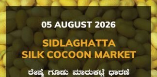Sidlaghatta Silk Cocoon Market – 05 August 2026 Sidlaghatta Silk Cocoon Market Rates – 05 August 2026