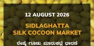 Sidlaghatta Silk Cocoon Market – 12 August 2026 Sidlaghatta Silk Cocoon Market Rates – 12 August 2026