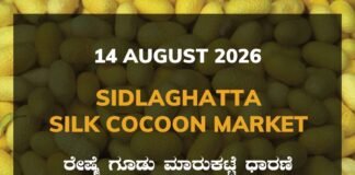 Sidlaghatta Silk Cocoon Market – 14 August 2026 Sidlaghatta Silk Cocoon Market Rates – 14 August 2026