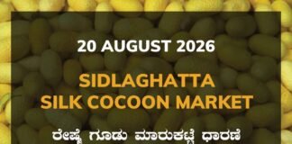 Sidlaghatta Silk Cocoon Market – 20 August 2026 Sidlaghatta Silk Cocoon Market Rates – 20 August 2026