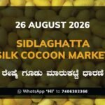Sidlaghatta Silk Cocoon Market Rates – 26 August 2026